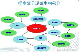 食品工廠清洗消毒有效運行的關鍵路徑——從理論到實踐的質控體系
