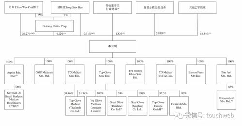 重塑資本之路 后疫情時代頂級手套再沖刺港股的戰略考